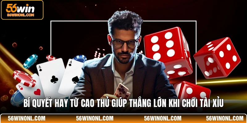 Bí quyết hay từ cao thủ giúp thắng lớn khi chơi tài xỉu