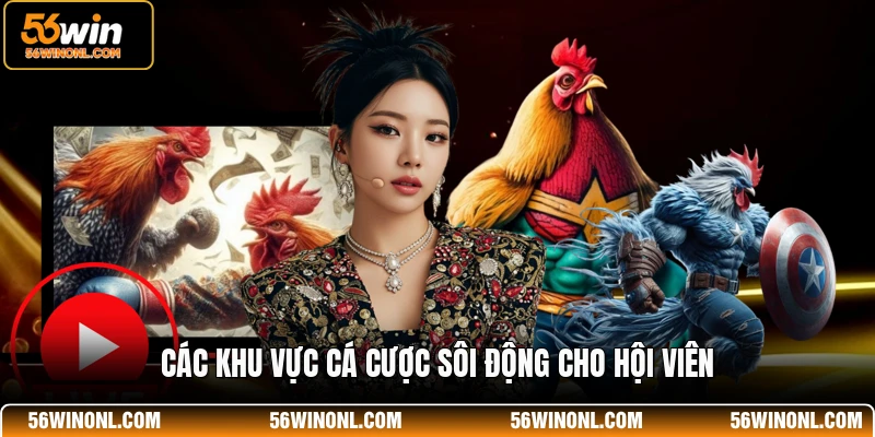 Đá Gà 56WIN – Dịch Vụ Giải Trí Sới Kê Tuyệt Đỉnh 2 Các khu vực cá cược sôi động cho hội viên