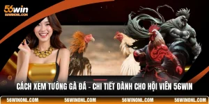 Cách Xem Tướng Gà Đá - Chi Tiết Dành Cho Hội Viên 56WIN