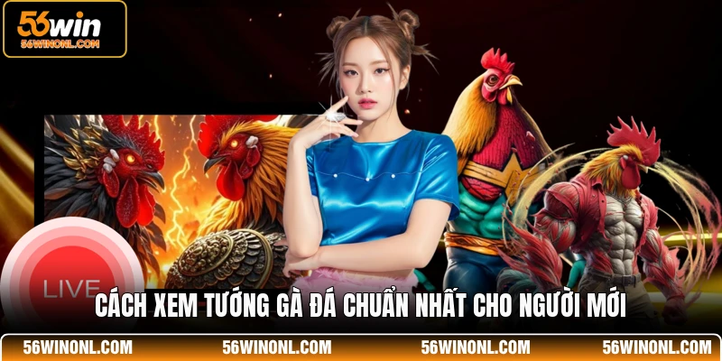 Cách Xem Tướng Gà Đá - Chi Tiết Dành Cho Hội Viên 56WIN 2 Cách xem tướng gà đá chuẩn nhất cho người mới
