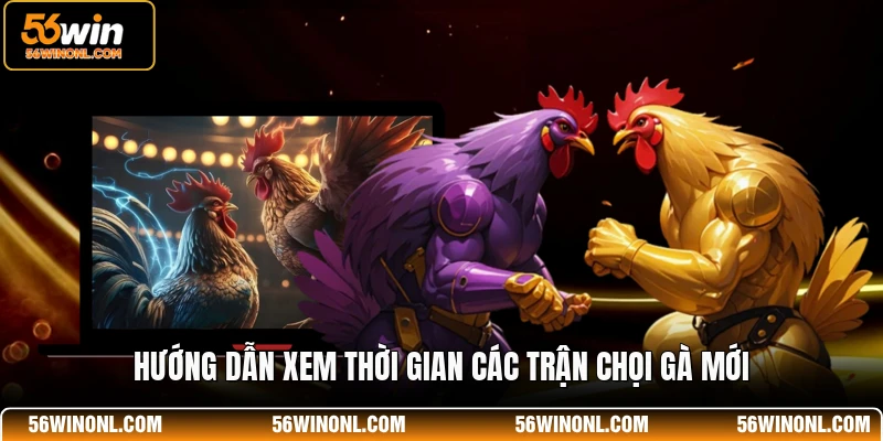 Hướng dẫn xem thời gian các trận chọi gà mới