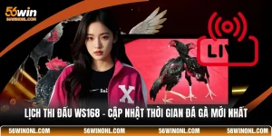 Lịch Thi Đấu WS168 - Cập Nhật Thời Gian Đá Gà Mới Nhất