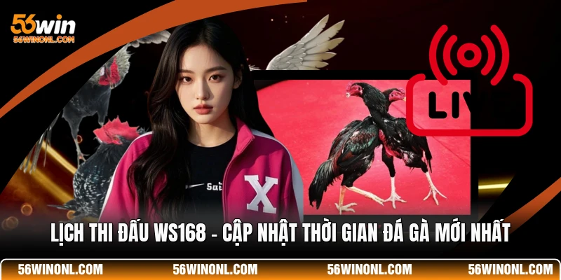Lịch Thi Đấu WS168 - Cập Nhật Thời Gian Đá Gà Mới Nhất