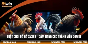 Luật Chơi Đá Gà SV388 - Cẩm Nang Cho Thành Viên 56WIN