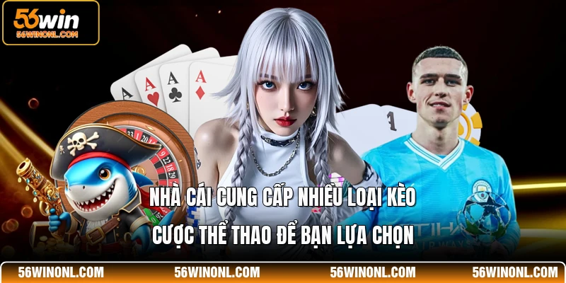 Nhà cái cung cấp nhiều loại kèo cược thể thao để bạn lựa chọn