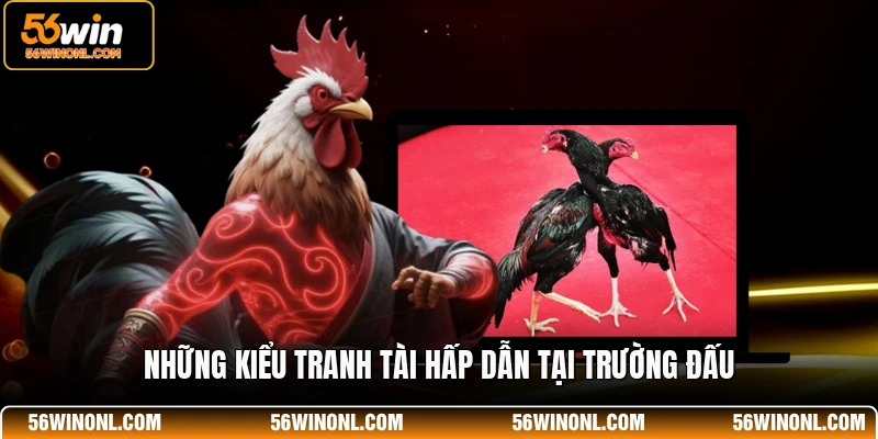Đá Gà 56WIN – Dịch Vụ Giải Trí Sới Kê Tuyệt Đỉnh 3 Những kiểu tranh tài hấp dẫn tại trường đấu