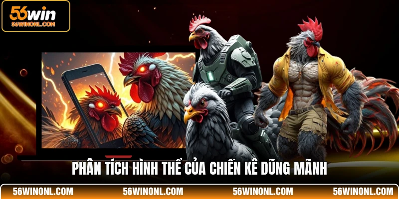 Cách Xem Tướng Gà Đá - Chi Tiết Dành Cho Hội Viên 56WIN 3 Phân tích hình thể của chiến kê dũng mãnh