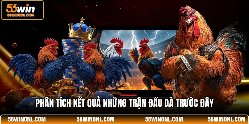 Soi Kèo Đá Gà 56WIN - Bí Quyết Chiến Thắng Cho Hội Viên 4 Phân tích kết quả những trận đấu gà trước đây