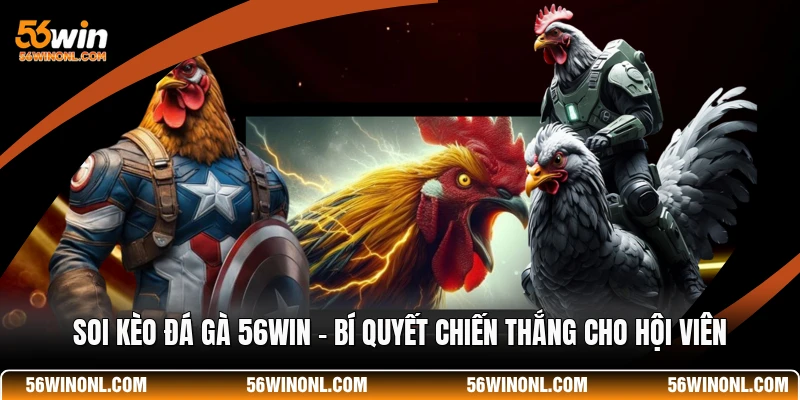 Soi Kèo Đá Gà 56WIN - Bí Quyết Chiến Thắng Cho Hội Viên 1 Soi Kèo Đá Gà 56WIN - Bí Quyết Chiến Thắng Cho Hội Viên