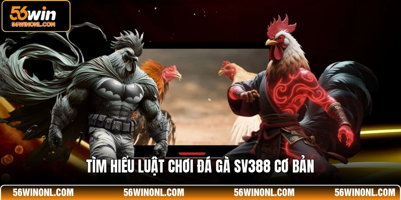 Tìm hiểu luật chơi đá gà SV388 cơ bản
