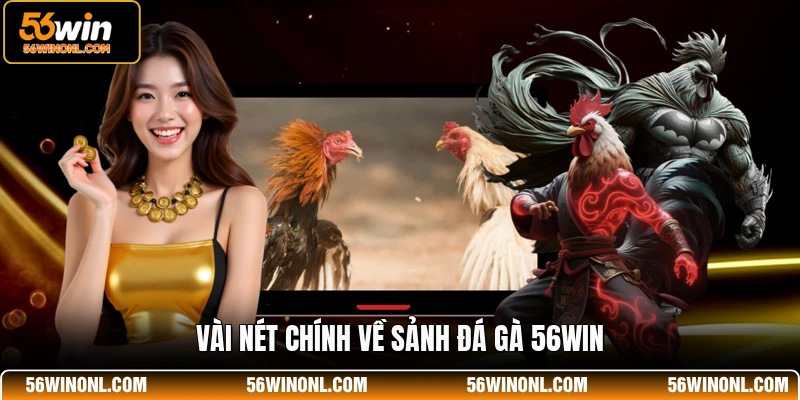 Đá Gà 56WIN – Dịch Vụ Giải Trí Sới Kê Tuyệt Đỉnh 1 Vài nét chính về sảnh đá gà 56WIN